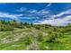 Exterior view of the green landscaped lawn with trees and blue skies in the background at 581 Stonemont Dr, Castle Pines, CO 80108