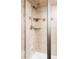 Tiled shower with corner shelves, designed for a functional and modern bathroom experience at 9257 Shadowglen Ct, Highlands Ranch, CO 80126