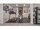 Home gym with treadmill and elliptical in a finished basement at 481 Woodroot Cir, Castle Rock, CO 80104