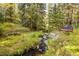 Picturesque backyard featuring a tranquil stream, lush trees, and a quaint bench for relaxation at 32217 Buffalo Park Rd, Evergreen, CO 80439