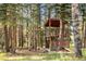 Charming wooden playhouse with slide and climbing features nestled in the trees, offering a fun outdoor space at 32217 Buffalo Park Rd, Evergreen, CO 80439
