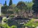 Charming backyard pond with a rock waterfall feature, surrounded by lush plants and decorative elements at 5773 S Benton Way, Littleton, CO 80123