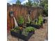 Backyard garden featuring raised garden beds with flourishing plants and colorful flowers, perfect for green thumbs at 5668 S Foresthill St, Littleton, CO 80120