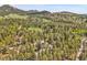 Serene aerial view showcasing a home nestled in lush greenery, offering a peaceful retreat surrounded by nature at 10887 Goodheart Ave, Conifer, CO 80433
