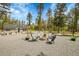 Inviting backyard with gravel ground, firepit, and chair seating, perfect for outdoor entertaining and relaxation at 10887 Goodheart Ave, Conifer, CO 80433