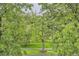 Green lush park views through the trees of the exterior landscape at 1895 York St, Denver, CO 80206