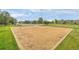 Well-maintained sand volleyball court surrounded by lush greenery for active outdoor enjoyment at 17442 Nature Walk Trl # 105, Parker, CO 80134