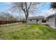 The backyard includes a well-maintained lawn, large tree, storage shed, and a wooden privacy fence at 6895 W Oregon Dr, Lakewood, CO 80232