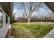 Spacious backyard featuring a large grassy area, mature tree, and a wooden privacy fence at 6895 W Oregon Dr, Lakewood, CO 80232