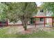 Backyard of this home features a covered patio with an adjacent shed and a mature tree at 7552 Garland St, Arvada, CO 80005