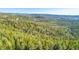 Panoramic view of vast mountain landscape with homes scattered among lush green trees at 33090 Janelle Cir, Golden, CO 80403