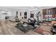 Basement featuring living room, kitchenette, and fitness equipment at 436 Sage Grouse Cir, Castle Rock, CO 80109