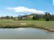 Serene view of a tranquil pond with grass, mature trees, and distant house, offering picturesque waterfront scenery at 50 Meade Ln, Cherry Hills Village, CO 80113
