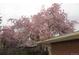 Beautiful flowering pink tree adding charm to the yard near a brick building and complementing a gray sky at 305 Cottonwood Ct, Longmont, CO 80501