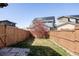 A fenced backyard with green grass, a young tree, and neighboring houses in the distance at 9091 E 61St Ave, Denver, CO 80238