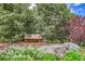Secluded garden bench surrounded by lush greenery, creating a serene and peaceful outdoor space at 4701 Homestead St, Bow Mar, CO 80123