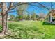 Spacious backyard with mature trees and well-maintained lawn, providing a serene outdoor space for recreation at 10062 Eagle Valley Way, Highlands Ranch, CO 80129