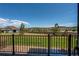 Scenic backyard featuring green grass, rock accents, a black railing and community views at 3375 New Haven Cir, Castle Rock, CO 80109