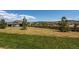 Expansive backyard featuring lush green grass, mature trees, and distant mountain views at 3375 New Haven Cir, Castle Rock, CO 80109
