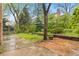 Backyard featuring a patio and yard with mature trees at 6602 S Vance St, Littleton, CO 80123