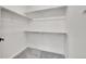 Walk-in closet with carpet and shelving at 11902 Octave Ave, Parker, CO 80134