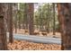 Deer wander through the trees near this property, showcasing the area's natural beauty at 19185 Shadowood Dr, Monument, CO 80132