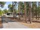 Secluded home surrounded by lush trees, offering privacy and a peaceful retreat at 19185 Shadowood Dr, Monument, CO 80132