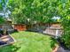 Backyard featuring lush green grass and a wood fence-lined perimeter at 453 Arden Cir, Highlands Ranch, CO 80126