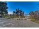 Expansive yard features mature trees, natural landscaping, and mountain views, creating a serene outdoor environment at 345 Scrub Oak Way, Monument, CO 80132