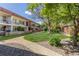 A beautiful courtyard between condo buildings with a pathway, green grass, and several trees at 10185 W 25Th Ave # 33, Lakewood, CO 80215