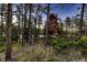 Secluded home with a unique rock formation that adds character and charm to the landscape at 6100 Apache Dr, Larkspur, CO 80118