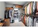 Spacious walk-in closet with ample storage and organizational options at 6237 Stable View St, Castle Pines, CO 80108
