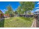 Spacious backyard with a large lawn area, mature trees, and a wood fence for privacy at 2208 Emery St, Longmont, CO 80501
