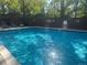 Sparkling outdoor pool surrounded by lounge chairs and lush trees at 480 S Marion Pkwy # 1202, Denver, CO 80209