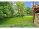 Lush backyard with beautiful green lawn, mature trees, and surrounding landscaping at 7077 Dudley Dr, Arvada, CO 80004