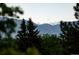 Scenic mountain view framed by lush green trees at 7077 Dudley Dr, Arvada, CO 80004