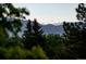 Beautiful mountain view with lush green trees in the foreground at 7077 Dudley Dr, Arvada, CO 80004