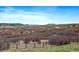 Scenic view with mountains and vast landscapes at 1552 Colt Cir, Castle Rock, CO 80109