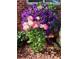 The vibrant display of purple clematis and pink rose flowers enhances the home's curb appeal at 971 Elm Pl, Thornton, CO 80229