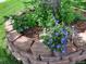 Well-maintained landscaping enhances the property's curb appeal at 971 Elm Pl, Thornton, CO 80229