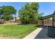 A spacious backyard featuring a large, mature tree, a well-kept lawn, and a wooden privacy fence at 3735 S Lewiston St, Aurora, CO 80013