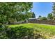 A lush backyard with a privacy fence, green lawn, and solar panels on the roof for energy efficiency at 3735 S Lewiston St, Aurora, CO 80013