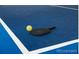 A pickleball paddle and ball are displayed on a blue court with clear white boundary lines at 10380 W Warren Ave, Lakewood, CO 80227
