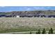 Scenic view of a neighborhood nestled against a backdrop of rolling hills under a partly cloudy sky at 5837 High Timber Cir, Castle Rock, CO 80104