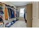 Walk-in closet with ample shelving, hanging storage, and a window for natural light at 5837 High Timber Cir, Castle Rock, CO 80104