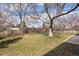 Lush backyard featuring a tire swing hanging from a mature tree, surrounded by green grass and a patio area at 991 E Applewood Ave, Centennial, CO 80121