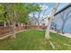 Wide backyard with green grass, wooden fence, and mature trees, creating a private and inviting outdoor space at 7061 Palisade Dr, Highlands Ranch, CO 80130