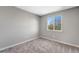 Minimalist bedroom with light gray walls, plush carpeting, and a bright window view at 12018 Hudson Ct, Thornton, CO 80241
