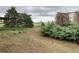 Spacious backyard area surrounded by green foliage and a metal shade structure overgrown with vines at 12904 N 3Rd St, Parker, CO 80134