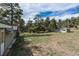 Spacious, grassy yard with scattered trees, outbuildings, and a home in the distance under a partly cloudy sky at 4295 Picutis Rd, Indian Hills, CO 80454